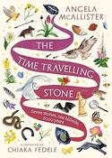 Angela McAllister: The Time Travelling Stone, illustrated by Chiara Fedele