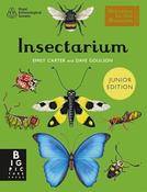 Dave Goulson: Insectarium, illustrated by Emily Carter image