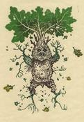 Lino Print: Monika Mitkute - Master Mandrake (A4)