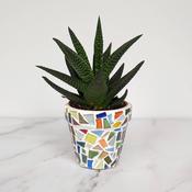 Luxe Decor Craft Kit: Mosaic Planter
