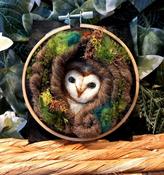 Needle Felting Workshop with Jenni Kilgallon: 19th July 10.30am - Owl in Tree Nook