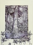 Print: Jenni Kilgallon - Rapunzel