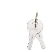 Replacement keys For FuelMaster &amp; TruckMaster (Pack Of 2)