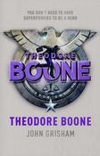 Theodore Boone image
