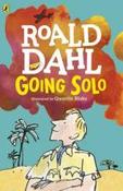 Going Solo image