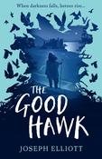 The Good Hawk image