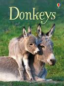 Donkeys (Usborne Beginners) image