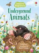 Underground Animals (Usborne Beginners) image