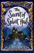 The Secret of Splint Hall image
