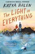 The Light in Everything (Hardback) image