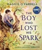 The Boy Who Lost His Spark (Hardback) image
