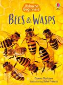 Bees &amp;amp; Wasps (Usborne Beginners) image