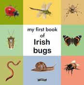 My First Book of Irish Bugs (Board Book) image