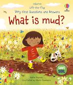 What is Mud? (Board Lift the Flap)