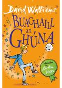 Buachaill an Ghuna  (The Boy in the Dress) image