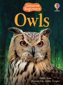 Owls (Usborne Beginners)