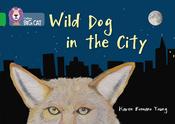 Wild Dog in the City (Collins Big Cat Inform)