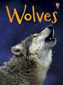 Wolves (Usborne Beginners) image
