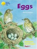 Oxford Reading Tree Stage 8 - 11 Jackdaws 1 image