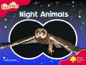 Oxford Reading Tree Fireflies Stage 4 image