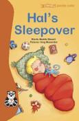 Hal's Sleepover (Panda Cubs 7) image