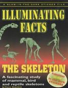 Glow in the Dark Skeleton