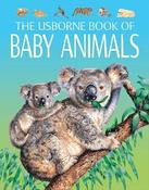 Baby Animals (Usborne Book of) image