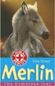 Merlin: The Homeless Foal (Animal Rescue) 3