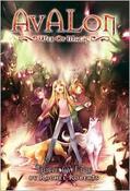 Avalon: Web of Magic: Trial by Fire (Destiny's Hand) image