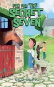 Fun for the Secret Seven 15 image