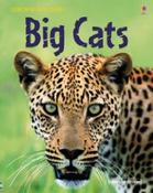 Big Cats (Usborne Discovery) image