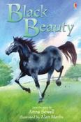 Black Beauty (Young Reading Series 2) image