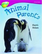 Oxford Reading Tree Treetops Non Fiction Stage 10 A image