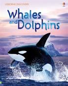 Whales and Dolphins (Usborne Discovery)