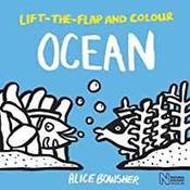 Lift-the-flap and Colour Ocean image