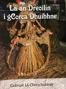 Seidean Si IT554 R3 La an Dreoilin i gCorca Dhuibhne image