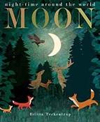 Moon  - Night Time around the World image