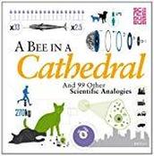 A Bee in a Cathedral: And 99 Other Scientific Analogies (Science Museum) image