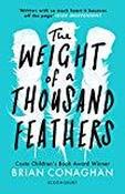 The Weight of a Thousand Feathers image