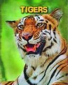 Tigers (Living in the Wild) image