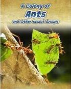 A Colony of Ants : and Other Insect Groups image