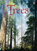 Trees (Usborne Beginners) image