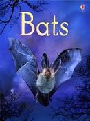 Bats (Usborne Beginners) image