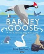 Barney Goose : A Wild Atlantic Way Adventure image