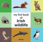 My First Book of Irish Wildlife (Board) image