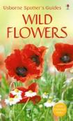 Wild Flowers (Spotter's Guide) image