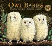 Owl Babies (Board) image
