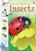 Insects (Usborne Nature trail) image