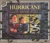 Hurricane image