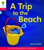 Oxford Reading Tree: Stage 4: Floppy's Phonics Non-Fiction: Pack of 6 image